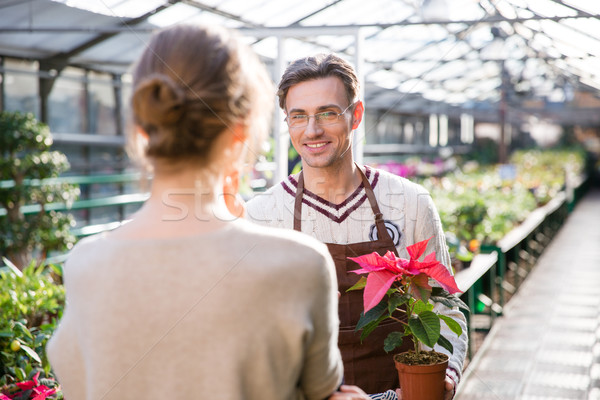 Gardener holding plant in pot and talking to young woman  Stock photo © deandrobot