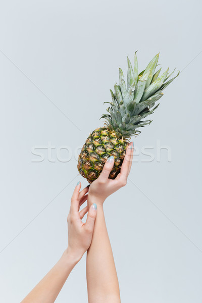 Stock photo: Female hands holding ananas