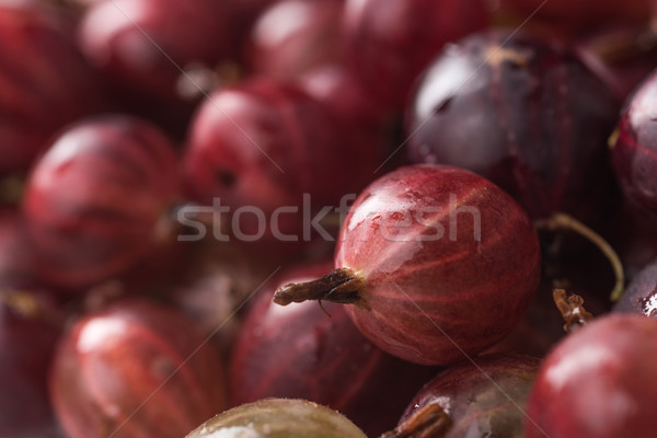 Photos naturelles macro alimentaire jardin [[stock_photo]] © deandrobot