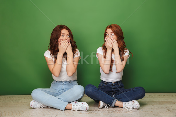 Portré kettő meglepődött fiatal vörös hajú nő lányok Stock fotó © deandrobot