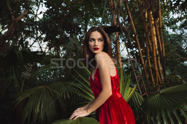 Vista lateral morena mulher estufa vestido vermelho posando Foto stock © deandrobot