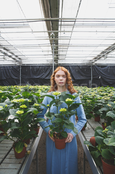 Stock photo: Girl with plant in orangery