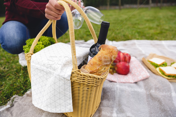 Mujer cesta de picnic copas de vino manta Foto stock © deandrobot