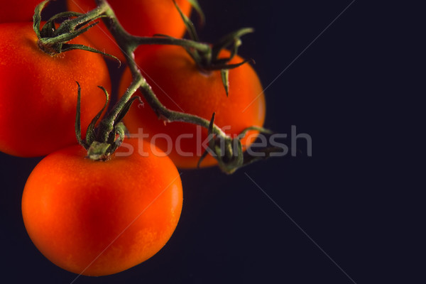 Branch of fresh red tomatoes isolated Stock photo © deandrobot