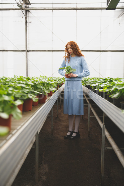 Full-length shot of young girl with plant Stock photo © deandrobot