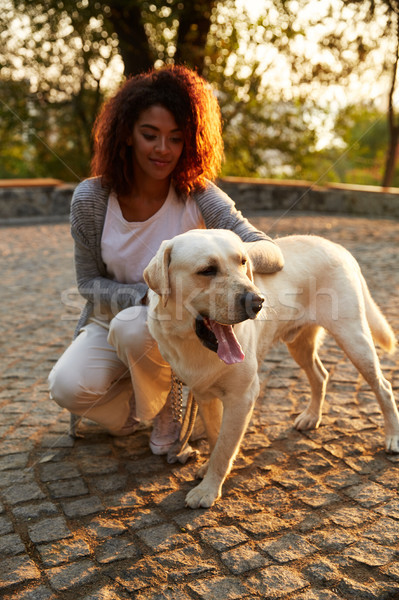 Young african lady in casual clothes sitting and hugging dog in park Stock photo © deandrobot