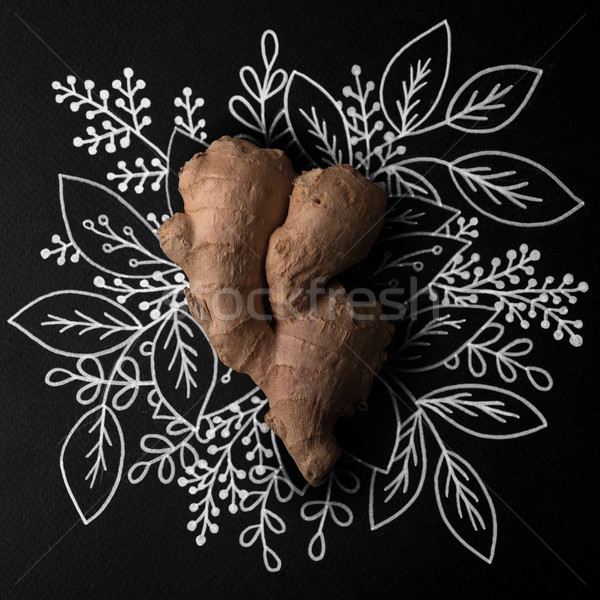 Ginger over outline floral background Stock photo © deandrobot