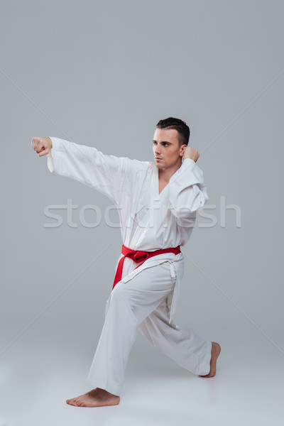 Gut aussehend Sportler Kimono Übung Karate isoliert Stock foto © deandrobot