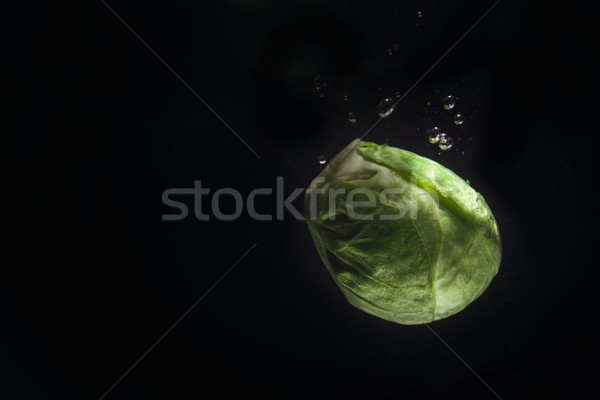 Close up of a fresh brussels sprout with water drops Stock photo © deandrobot
