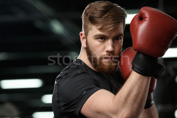 Concentrado guapo jóvenes fuerte deportes hombre Foto stock © deandrobot