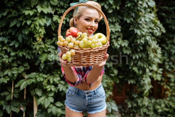 Happy pretty young woman giving you basket of fresh fruits Stock photo © deandrobot