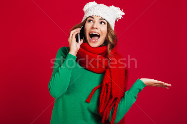 Stockfoto: Geschokt · mooie · jonge · vrouw · praten · telefoon · foto