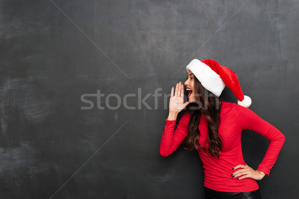 Gelukkig brunette vrouw Rood blouse christmas Stockfoto © deandrobot