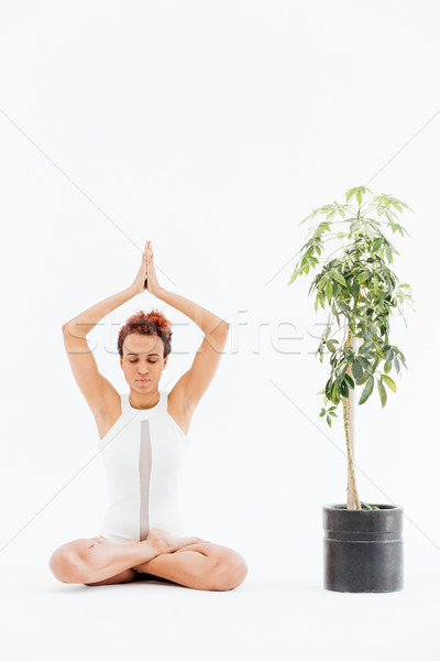 African woman practicing lotus yoga pose near tree in pot Stock photo © deandrobot