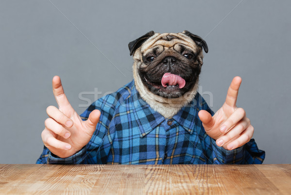 [[stock_photo]]: Homme · chien · tête · à · carreaux · shirt · pointant