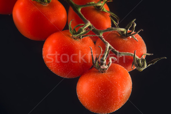 Bunch of fresh wet tomatoes isolated Stock photo © deandrobot