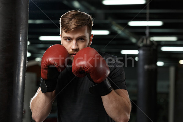Koncentrált jóképű fiatal erős sportok férfi Stock fotó © deandrobot