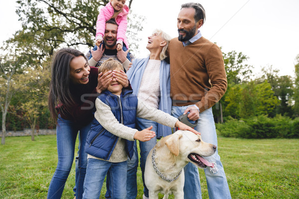 Foto d'archivio: Bella · grande · famiglia · felice · golden · retriever · esterna