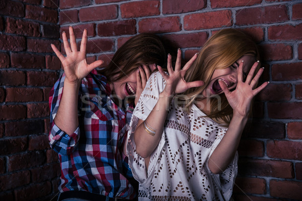 Two frightened woman Stock photo © deandrobot