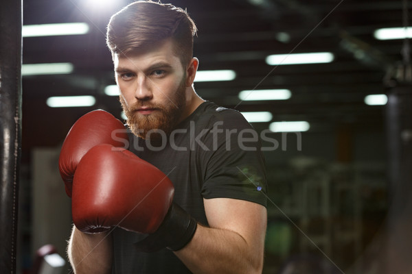 Koncentrált jóképű fiatal erős sportok férfi Stock fotó © deandrobot