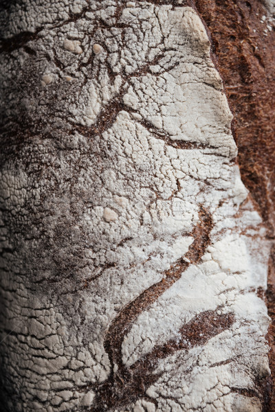 Stock photo: Cropped photo of bread with flour