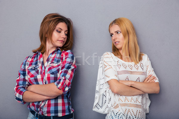 Twee ruzie grijs meisje teen Stockfoto © deandrobot