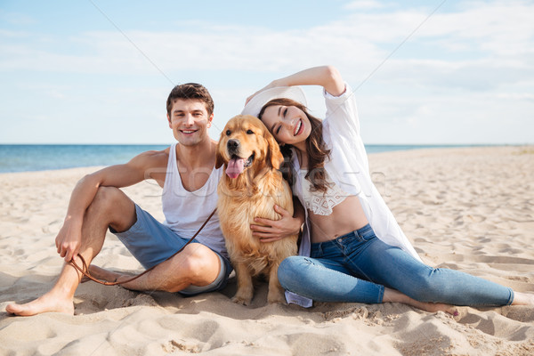 Mutlu köpek oturma plaj portre Stok fotoğraf © deandrobot