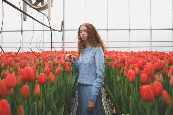 Girl looking down in orangery Stock photo © deandrobot
