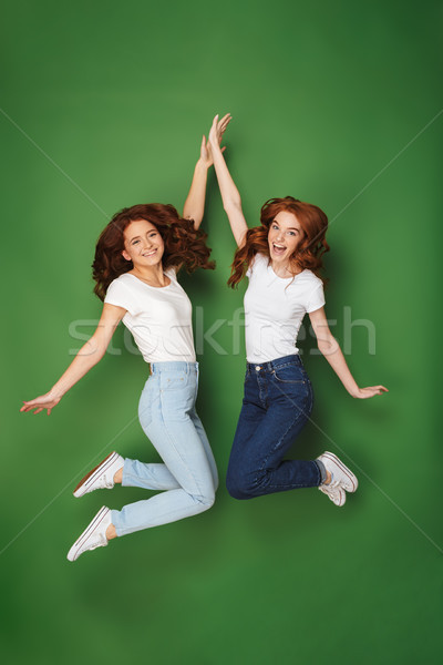 Full length portrait of two excited young redhead girls Stock photo © deandrobot