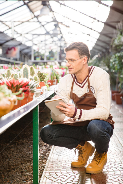 Man gardener looking at cactuses and making notes in notebook  Stock photo © deandrobot