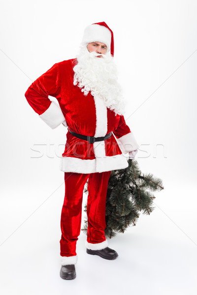 Man santa claus standing and holding christmas tree Stock photo © deandrobot