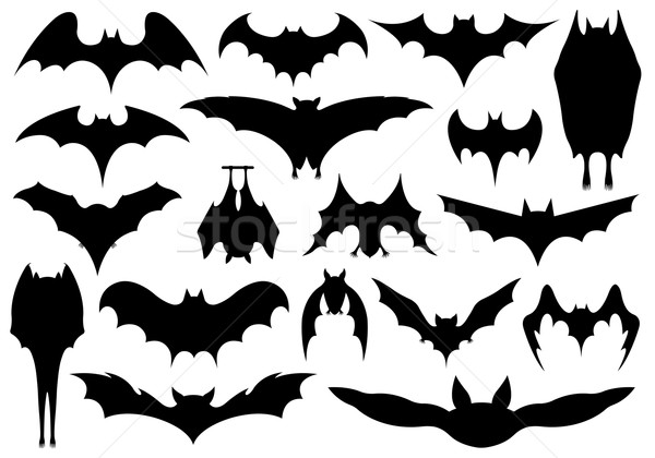 Set of different bats  Stock photo © DeCe