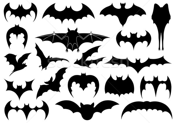 Illustration of different bats Stock photo © DeCe