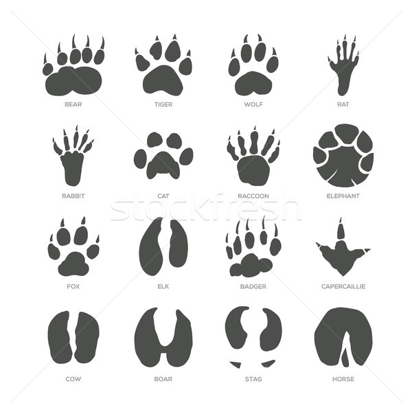 [[stock_photo]]: Animaux · modernes · isolé · vecteur · blanche