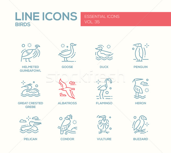 Birds - line design icons set Stock photo © Decorwithme