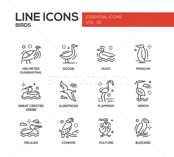 Stock photo: Birds - line design icons set