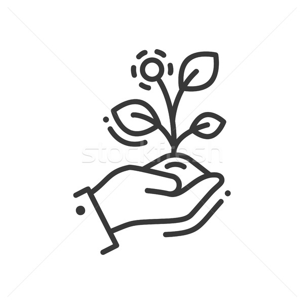 Life in seed - modern vector single line icon Stock photo © Decorwithme