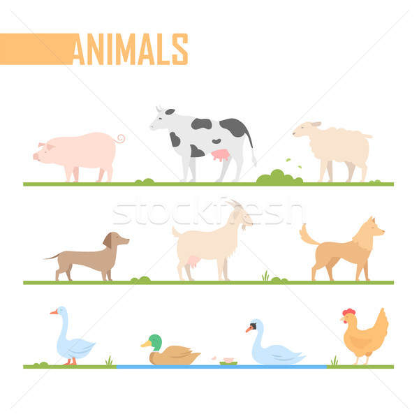 Set of farm animals - modern vector cartoon isolated illustration Stock photo © Decorwithme