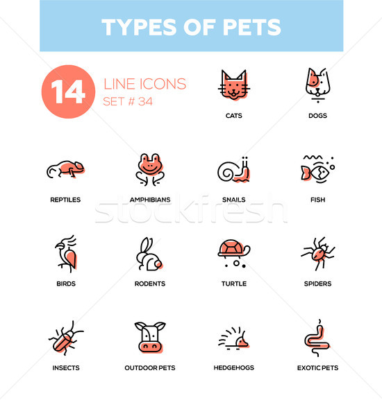 Types of pets - modern vector single line icons set Stock photo © Decorwithme