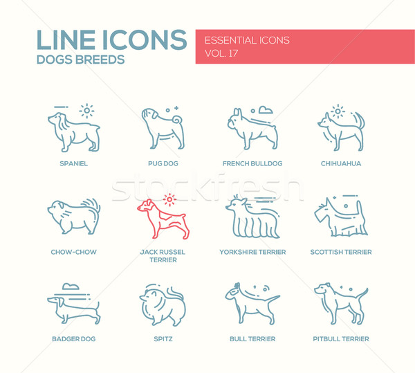 Dog breeds - line design icons set Stock photo © Decorwithme