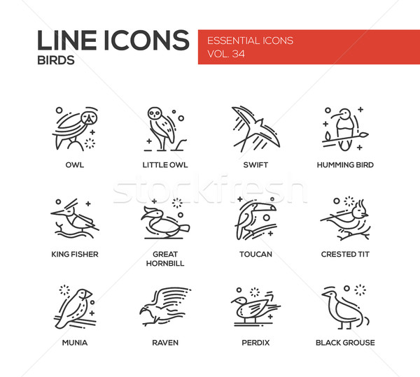 Birds - line design icons set Stock photo © Decorwithme