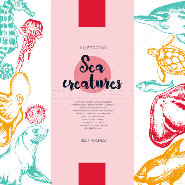 Sea Creatures - color drawn vintage banner template. Stock photo © Decorwithme