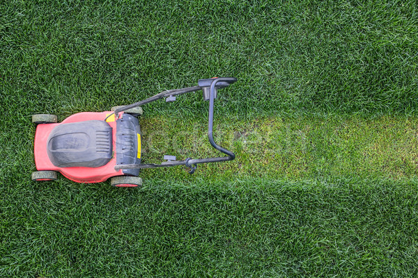Grass cutter at the lawn Stock photo © DedMorozz