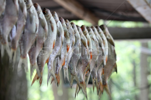 魚 繩 食品 商業照片 © DedMorozz