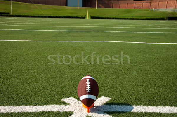 Football domaine objectif post herbe Photo stock © dehooks