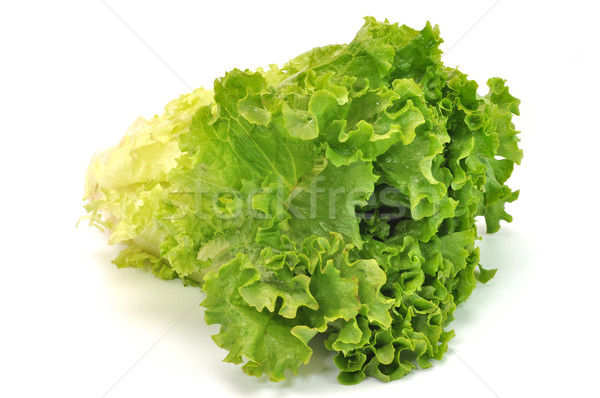 Green Leafy Lettuce Stock photo © dehooks