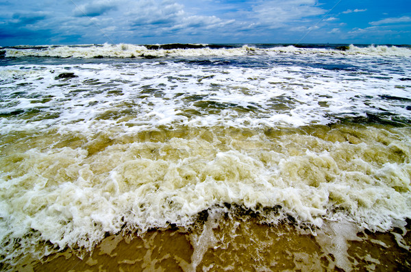 Tropical Storm on the Coast Stock photo © dehooks