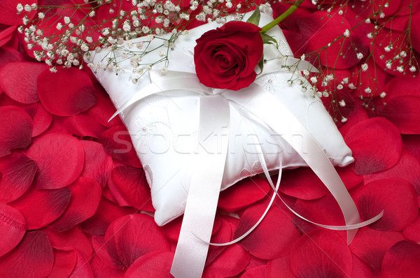 красную розу кольца подушкой дыхание белый лепестков Сток-фото © dehooks