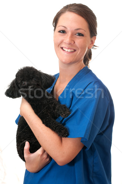 Vétérinaire assistant animal chien isolé Photo stock © dehooks