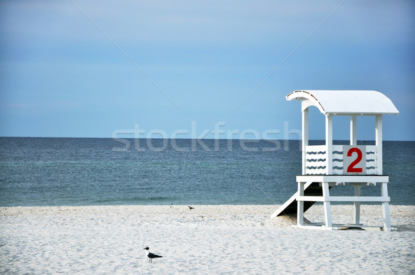 Salvamar coliba plajă gol pescarusi Imagine de stoc © dehooks